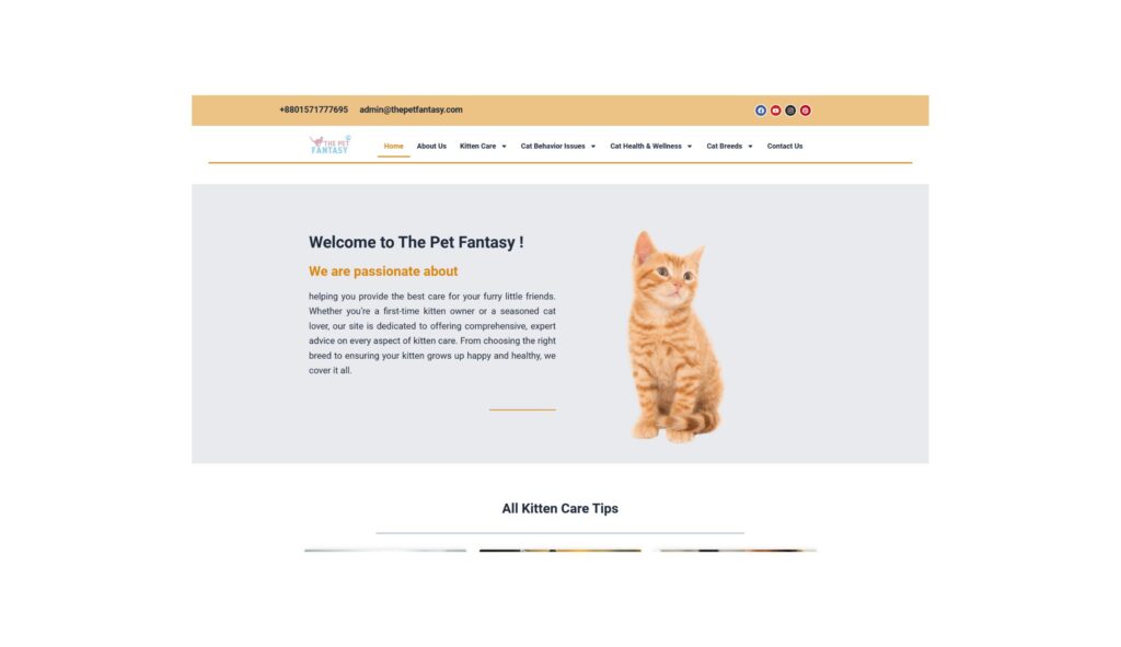 "On-page SEO optimization process for ThePetFantasy.com, including keyword research and content updates